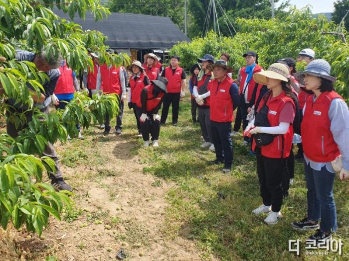 (5. 26. 추가보도자료) 충북교육청, 농촌봉사활동 전개하여 이웃사랑 실천 사진 2.jpg