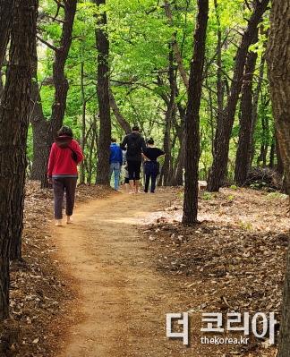 14. 파주시 운정6동, 도심 속 쉼터 조성 첫 단추…초롱꽃공원 맨발걷기길 조성 (1).JPG
