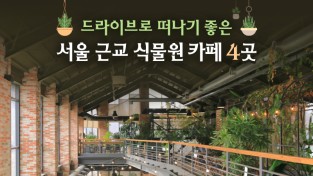 드라이브로 떠나기 좋은 서울 근교 식물원 카페 4곳