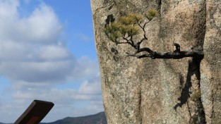 청룡의 기운 받으러 떠난 새해 첫 등산 여행, 홍성 용봉산