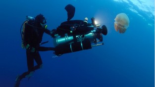 [인터뷰] 8K로 담는 심해: 수중 촬영 전문감독 파벨 아크텔을 만나다