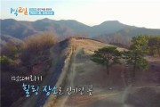 KBS ‘1박 2일’이 다녀간 광양 관광지는 어디?.. 매화마을 1위