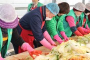 무안군 삼향읍 새마을부녀회, 추운 겨울 김장김치 1,000포기 나눠주며 따뜻한 사랑 전달