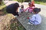전남교육청 압해동초, 오감으로 만나는 동트리 숲, 봄을 캐는 아이들
