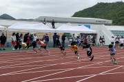 완도교육청, 2024학년도 교육장배 학년별 육상 경기대회 개최