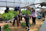 익산시 농촌지원과, 영농철 농가 일손돕기 봉사활동