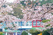‘대한민국 글로컬 미래교육박람회’를 즐기는 네 개의 열쇳말