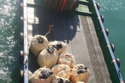 YGPA, 세계 항만 최초 해양폐플라스틱 수거 인증
