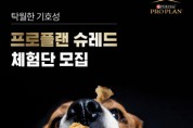 네슬레 퓨리나, 강아지 입맛 사로잡는 ‘프로플랜 슈레드’ 체험단 모집