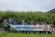 광양시 광영동 통장협의회, 매실 수확 일손돕기 나서