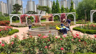 오산시 대표공원, 고인돌공원의‘장미뜨레’시민들 방문 기다려