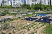 대전 서구, 도시 공동체 텃밭 무료 분양