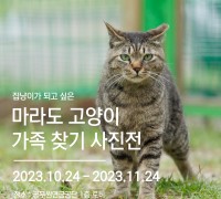 공무원연금공단, 마라도 고양이 가족 찾기 사진전 개최