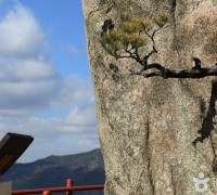 청룡의 기운 받으러 떠난 새해 첫 등산 여행, 홍성 용봉산