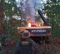 불법 채굴로 아마존 초토화, “HYUNDAI 굴착기”가 핵심 역할