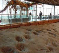 해남 공룡박물관 보호각 바닥교체, 10월초까지 관람 통제