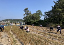 구례군 보도자료(20220527_구례군, 신규농업인대상 버섯 재배기술 교육 개강).jpg